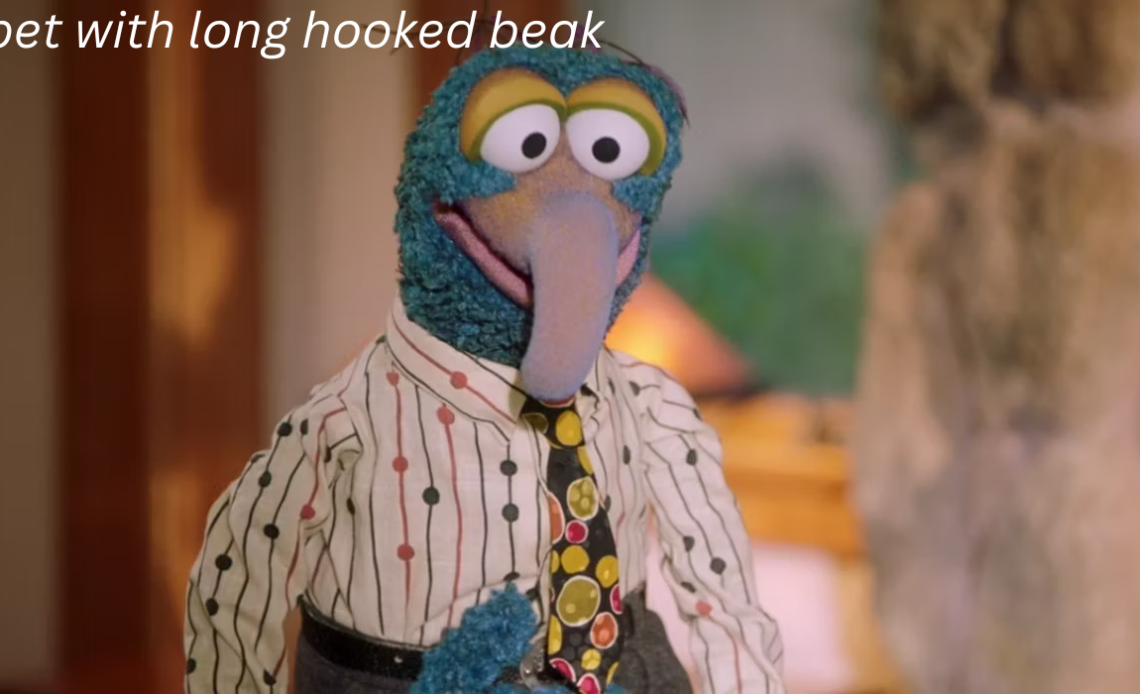 muppet with a long hooked beak