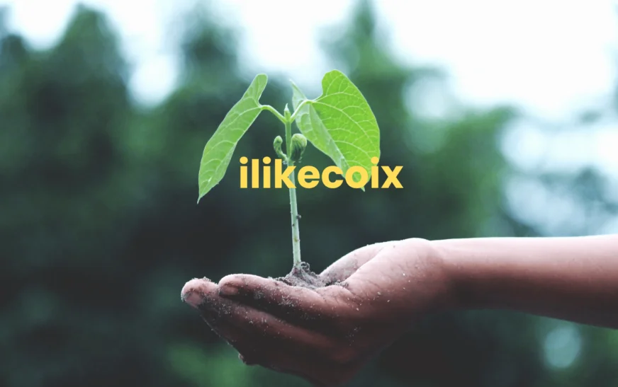 ilikecoix